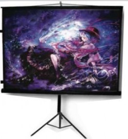 Pantalla de Proyecci&oacute;n Multimedia Screens MST213